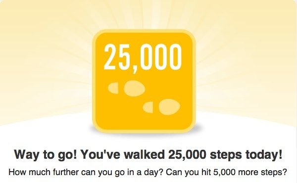 Fitbit badge